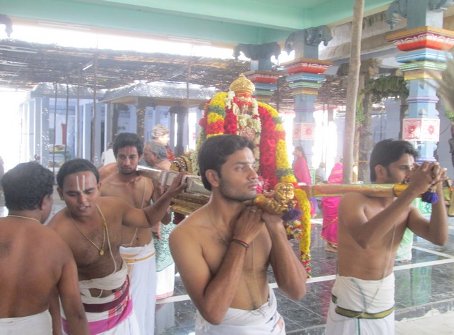 pooviruthavalli thirukachinambigal thiruavathara uthsavam day 2&33