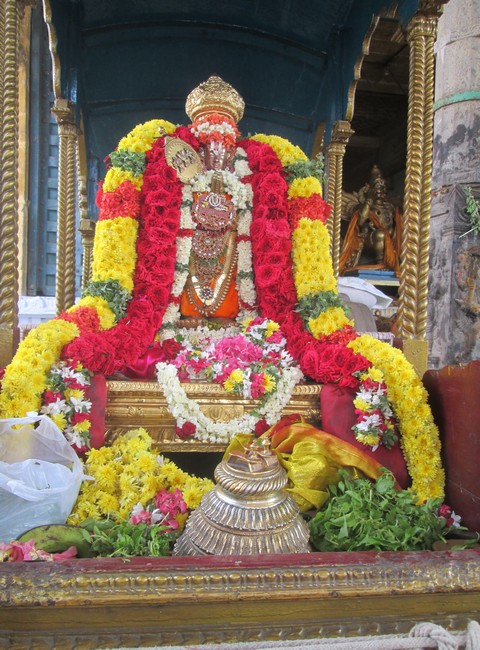 pooviruthavalli thirukachinambigal thiruavathara uthsavam day 2&35