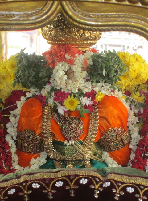 pooviruthavalli thirukachinambigal thiruavathara uthsavam day 2&37
