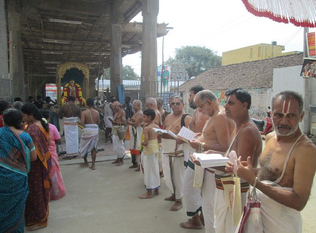 pooviruthavalli thirukachinambigal thiruavathara uthsavam day 2&39