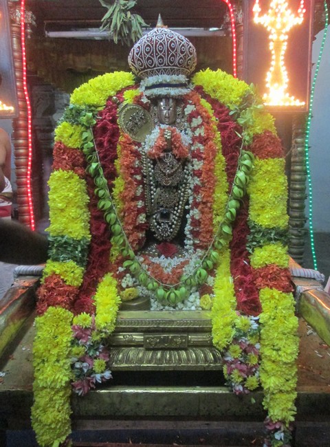 pooviruthavalli thirukachinambigal thiruavathara uthsavam day 4&512