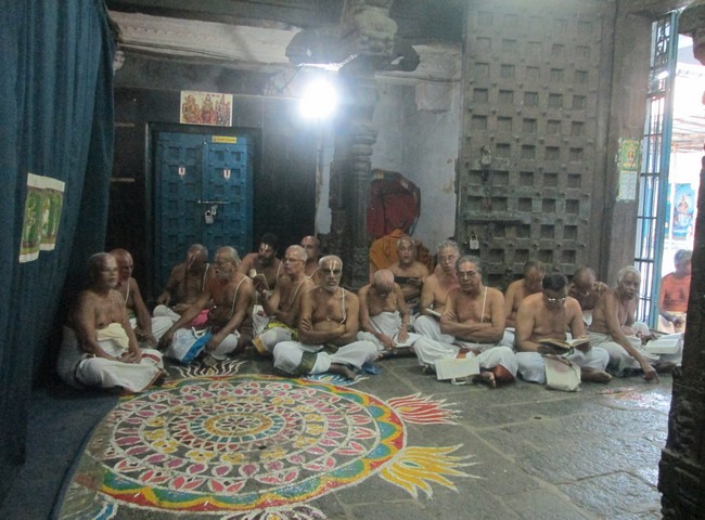 pooviruthavalli thirukachinambigal thiruavathara uthsavam day 712