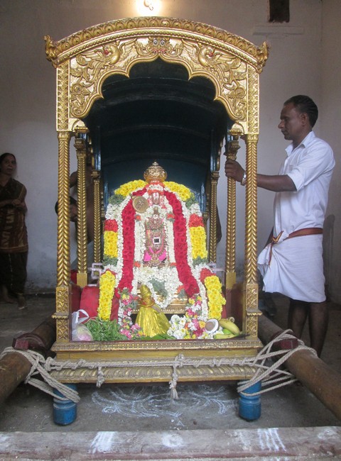 pooviruthavalli thirukachinambigal thiruavathara uthsavam day 79