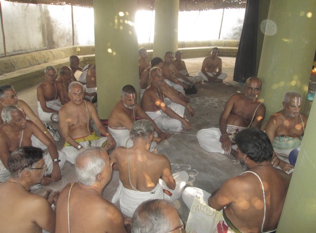 pooviruthavalli thirukachinambigal thiruavathara uthsavam day 811