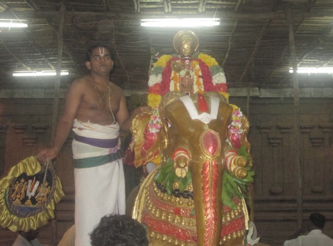 pooviruthavalli thirukachinambigal thiruavathara uthsavam day 819