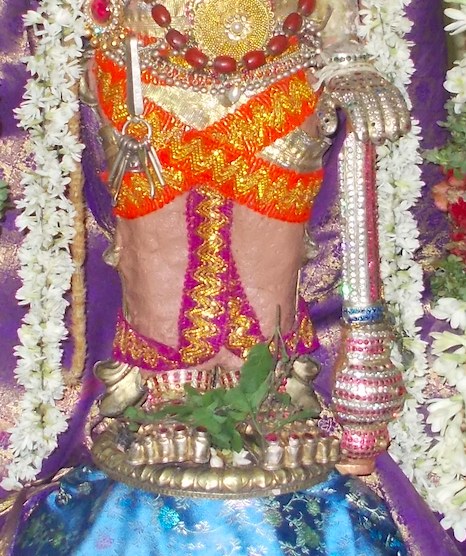 Amaruviappan Vasanthotsavam2