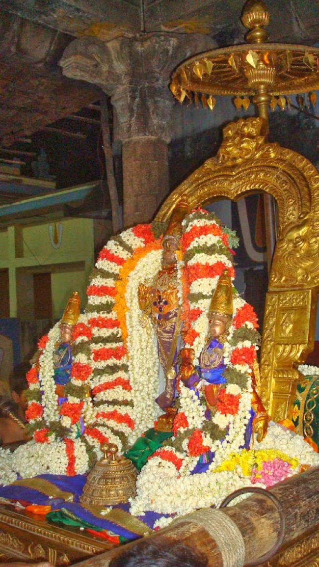 Kanchi Pallava utsavam day 3 2014--18