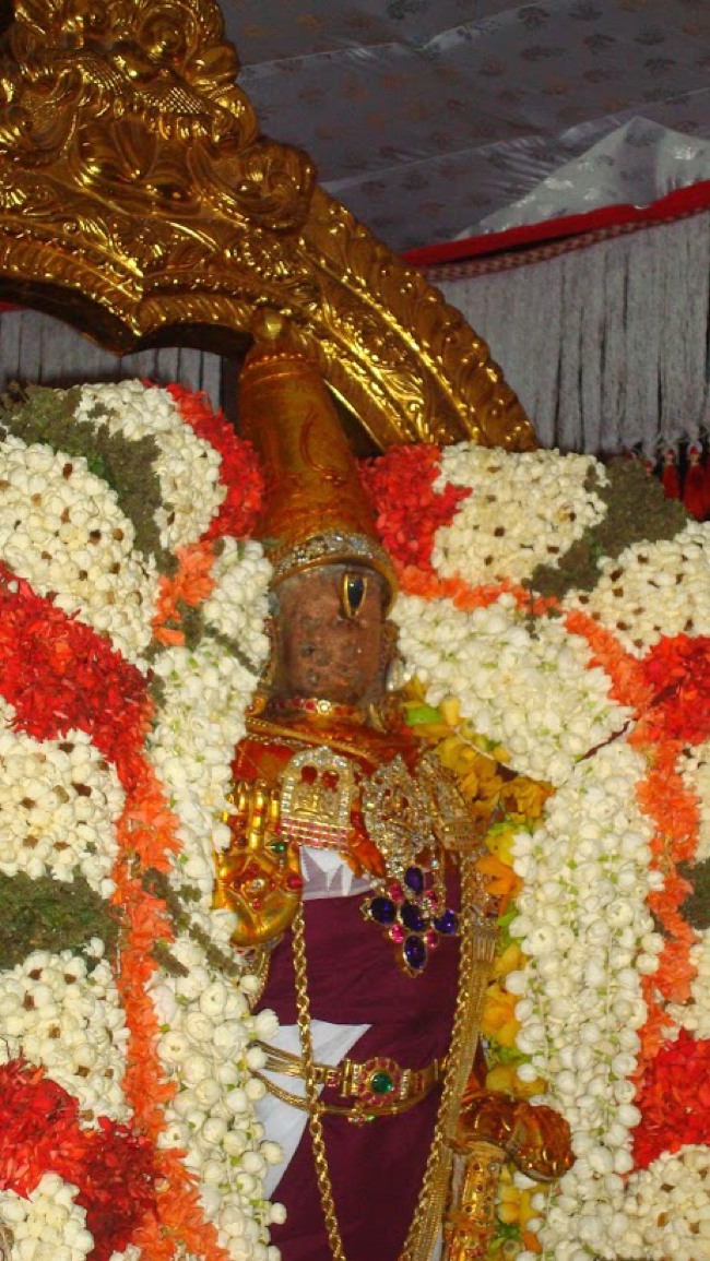 Kanchi Pallava utsavam day 4 2014--00