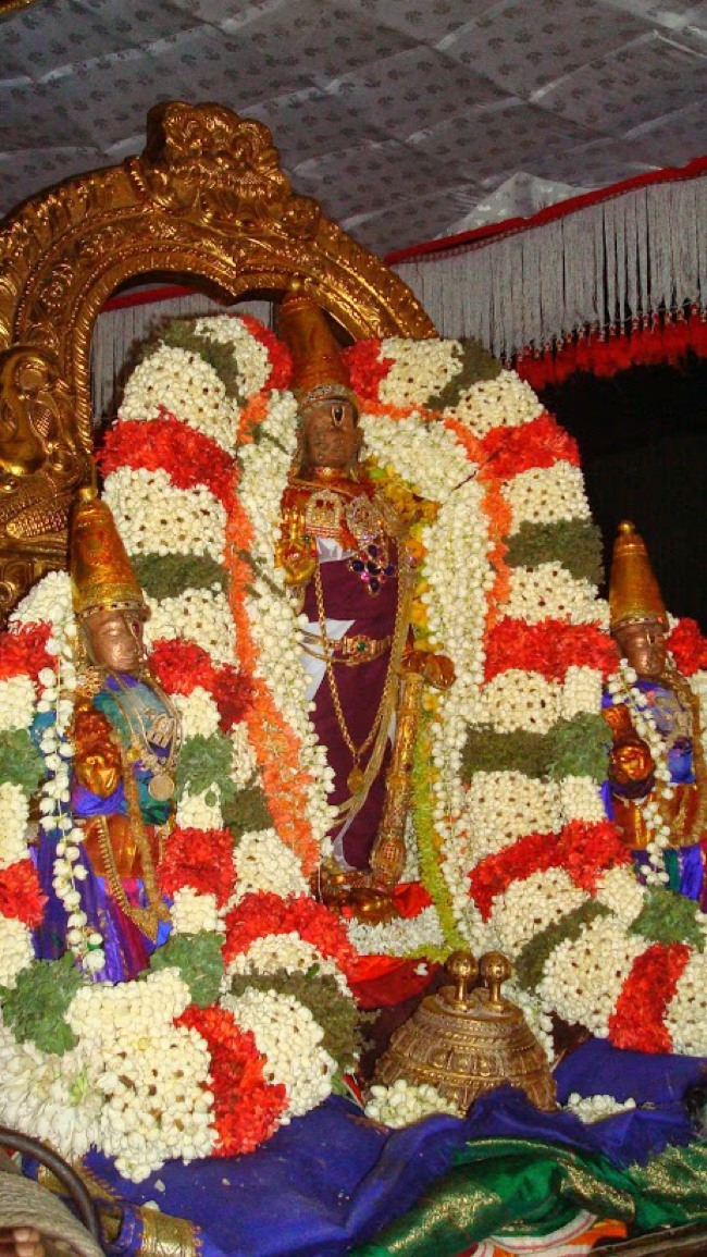 Kanchi Pallava utsavam day 4 2014--04
