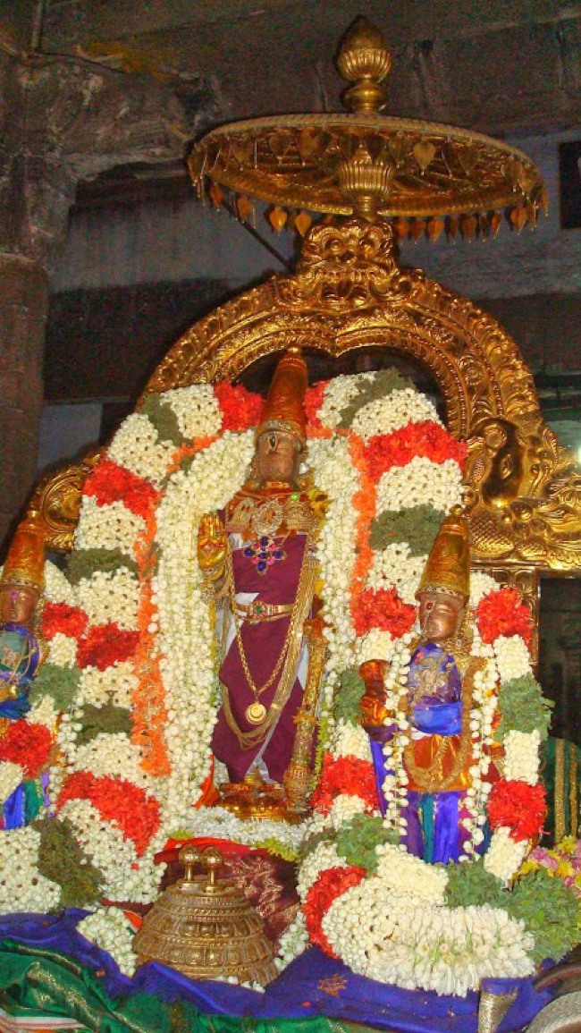 Kanchi Pallava utsavam day 4 2014--07
