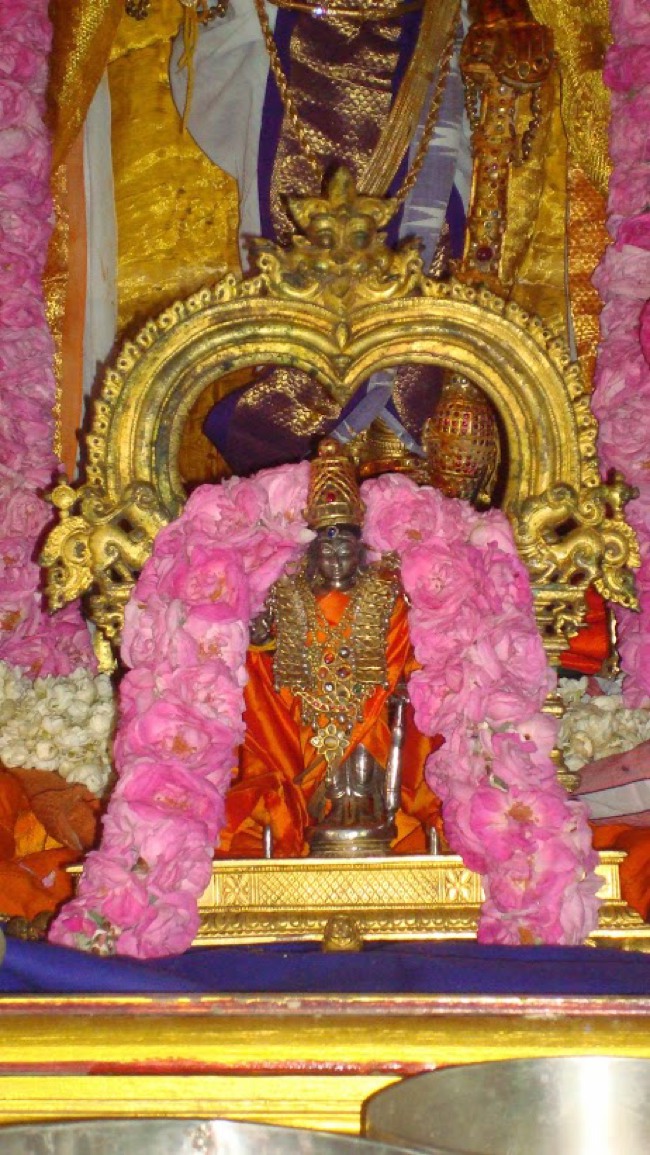 Kanchi Pallava utsavam day 4 2014--14