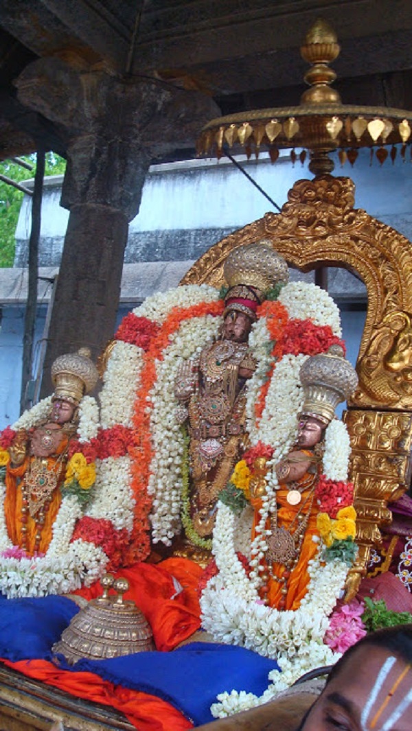 Kanchi Sri Devapperumal CHitra Sravana Purappadu  2014 -14