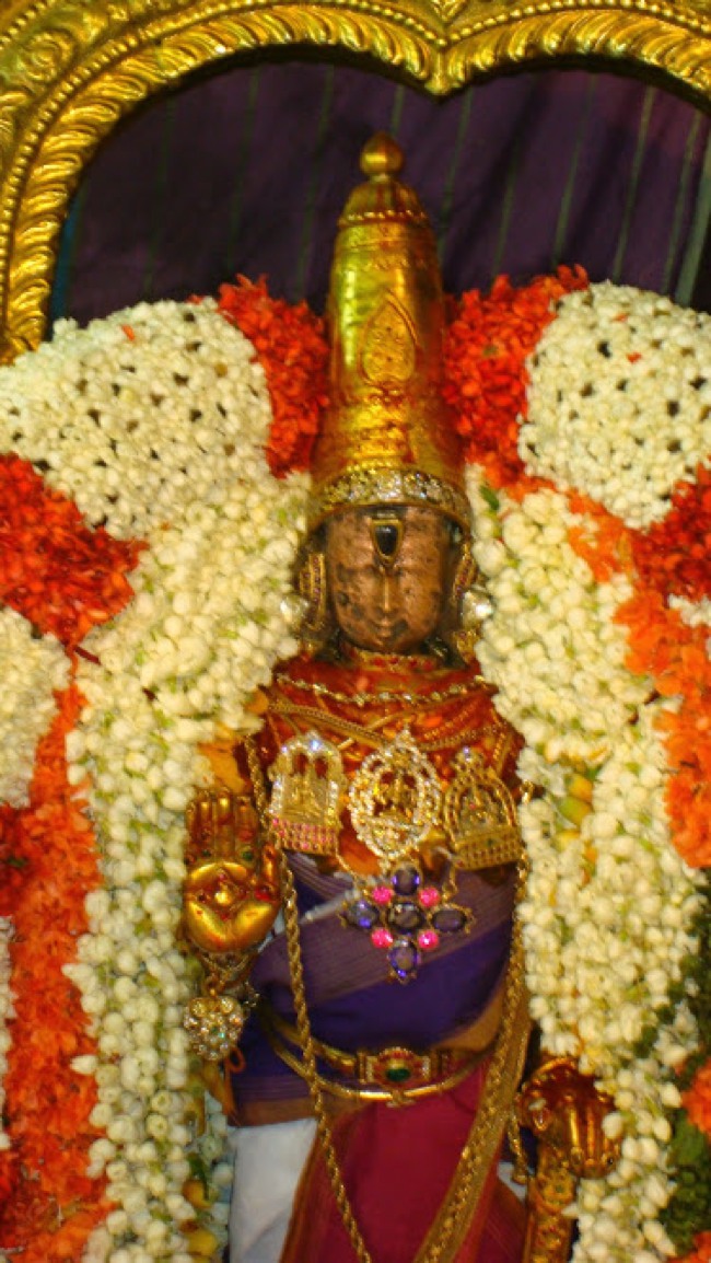 Kanchipuram Pallava Utsavam Day 1 2014--05