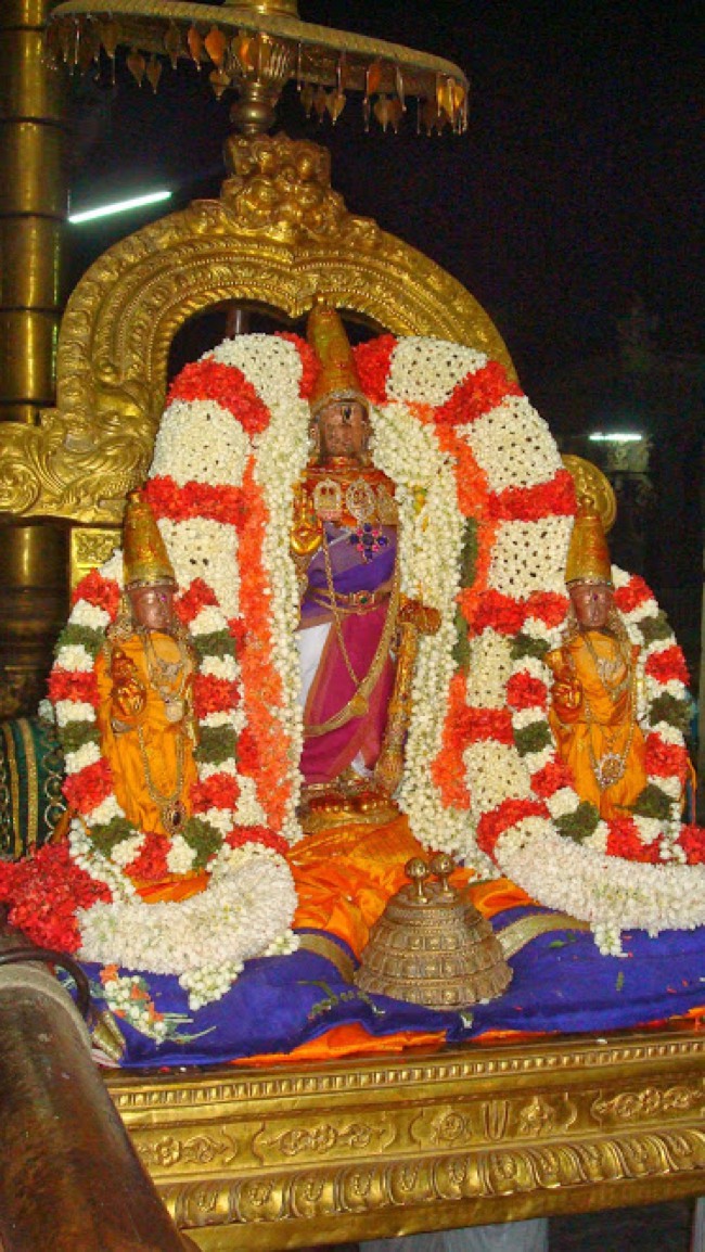 Kanchipuram Pallava Utsavam Day 1 2014--13