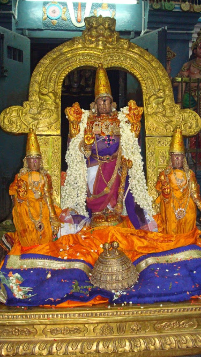 Kanchipuram Pallava Utsavam Day 1 2014--18