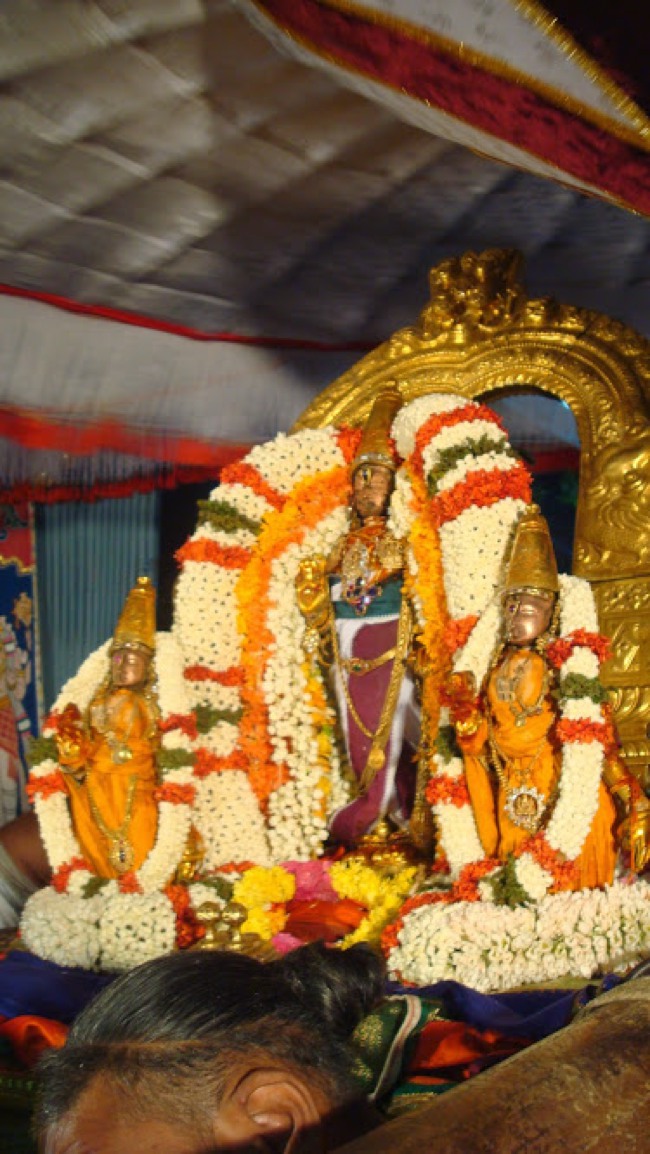 Kanchipuram Pallava Utsavam Day 2 2014--15