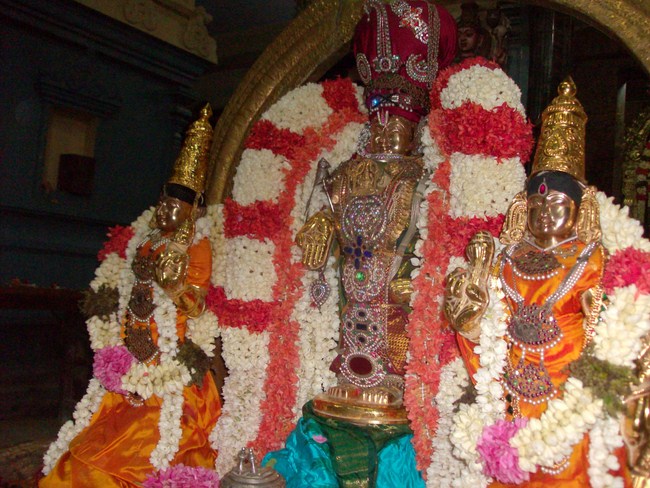Kilkatalai Sri Srinivasa Perumal ThiruAvathara Mahothsavam22