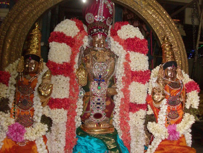 Kilkatalai Sri Srinivasa Perumal ThiruAvathara Mahothsavam26
