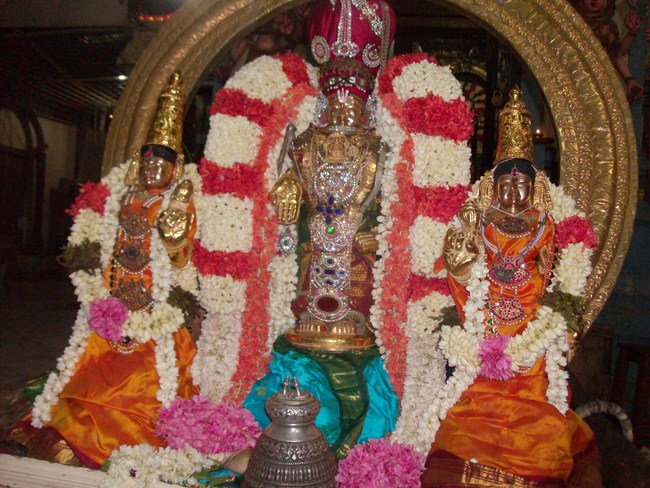 Kilkatalai Sri Srinivasa Perumal ThiruAvathara Mahothsavam5