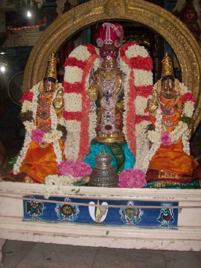 Kilkatalai Sri Srinivasa Perumal ThiruAvathara Mahothsavam7
