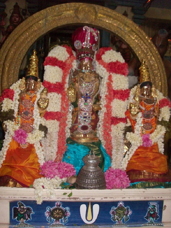 Kilkatalai Sri Srinivasa Perumal ThiruAvathara Mahothsavam9