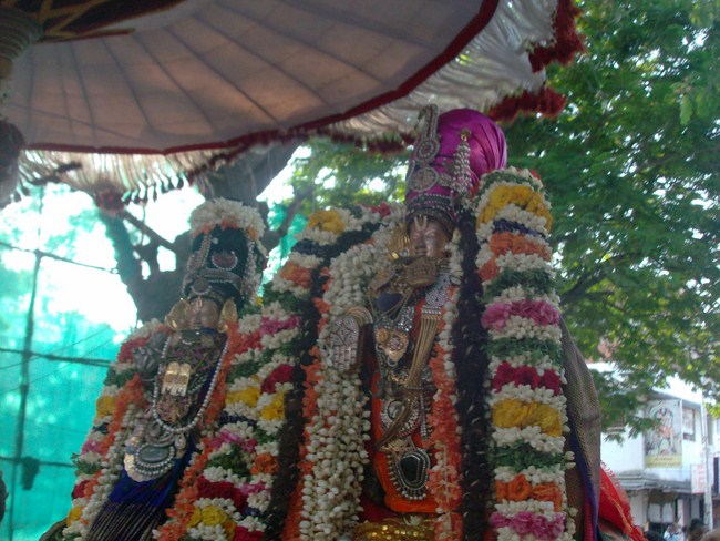 Madipakkam Sri Oppilliappan Pattabhisheka Ramar Vasanthosavam 11