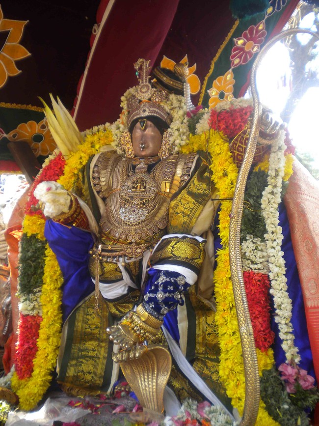 Mannargudi Brahmotsavam Andal Thirukolam 2014 -01