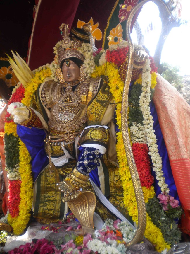 Mannargudi Brahmotsavam Andal Thirukolam 2014 -02