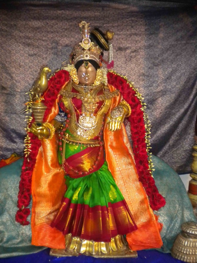 Mannargudi Brahmotsavam Andal Thirukolam 2014 -05
