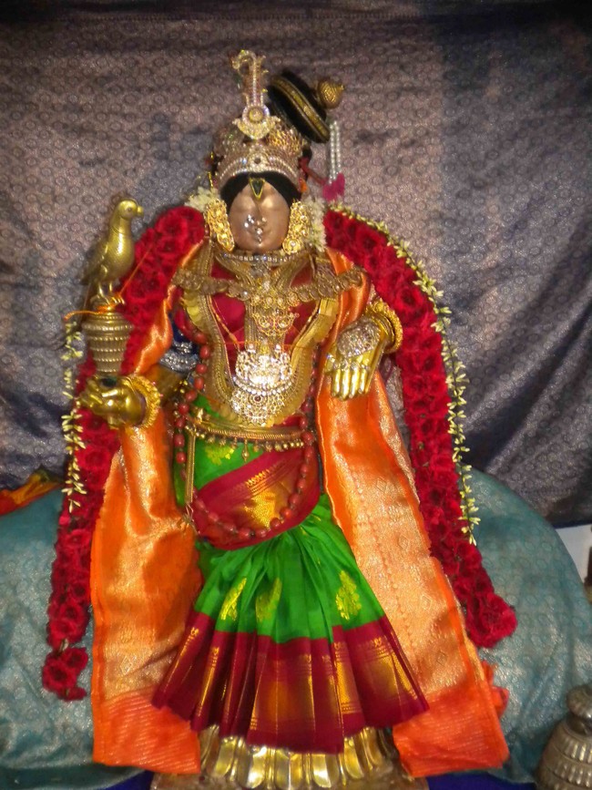 Mannargudi Brahmotsavam Andal Thirukolam 2014 -08