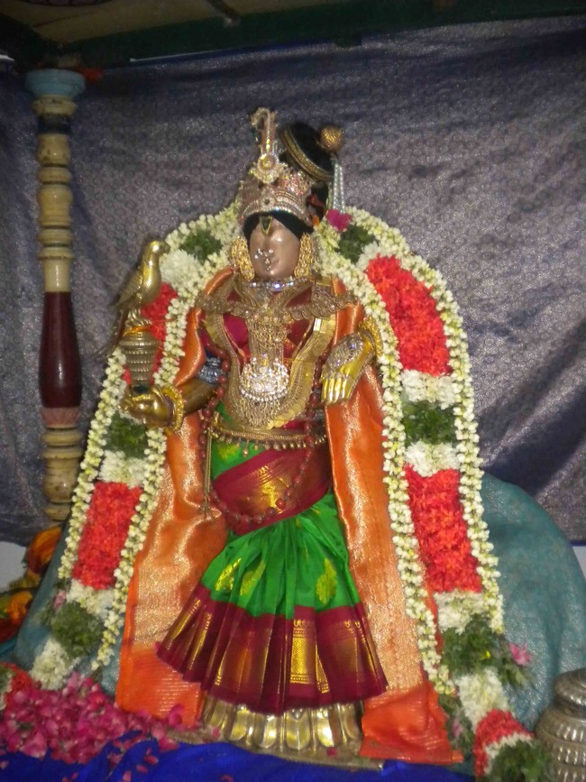 Mannargudi Brahmotsavam Andal Thirukolam 2014 -09