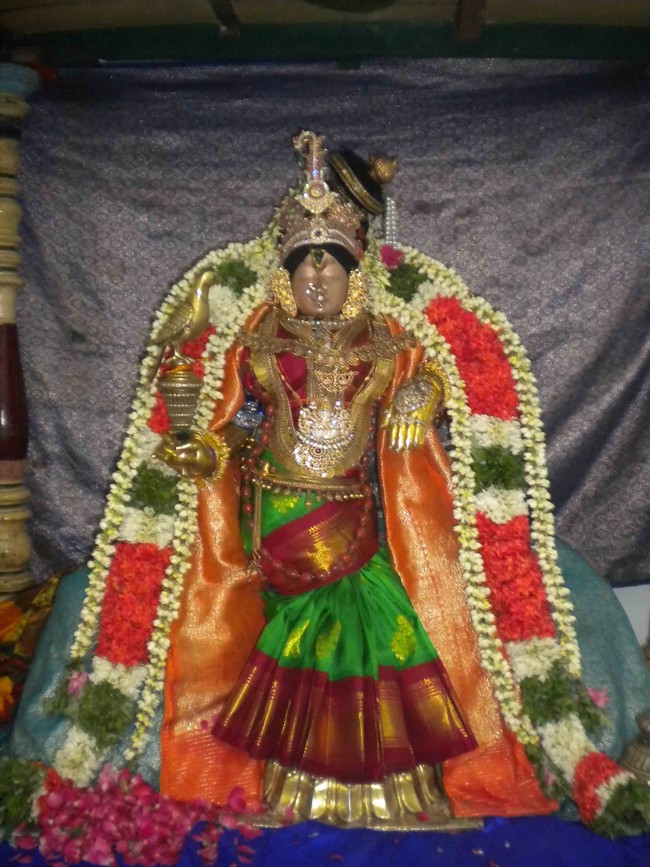 Mannargudi Brahmotsavam Andal Thirukolam 2014 -10