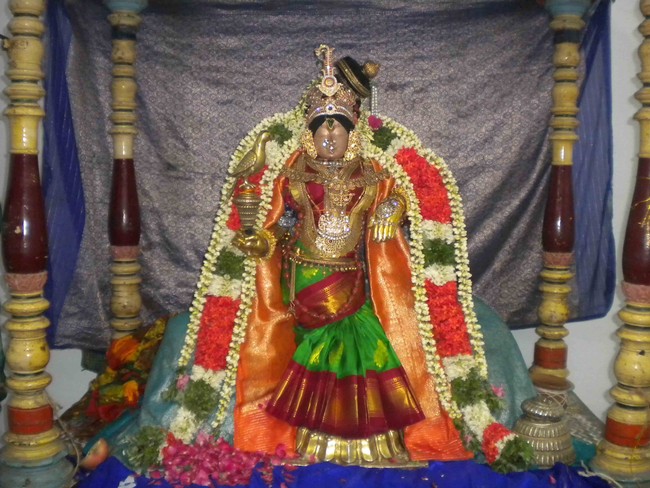 Mannargudi Brahmotsavam Andal Thirukolam 2014 -12
