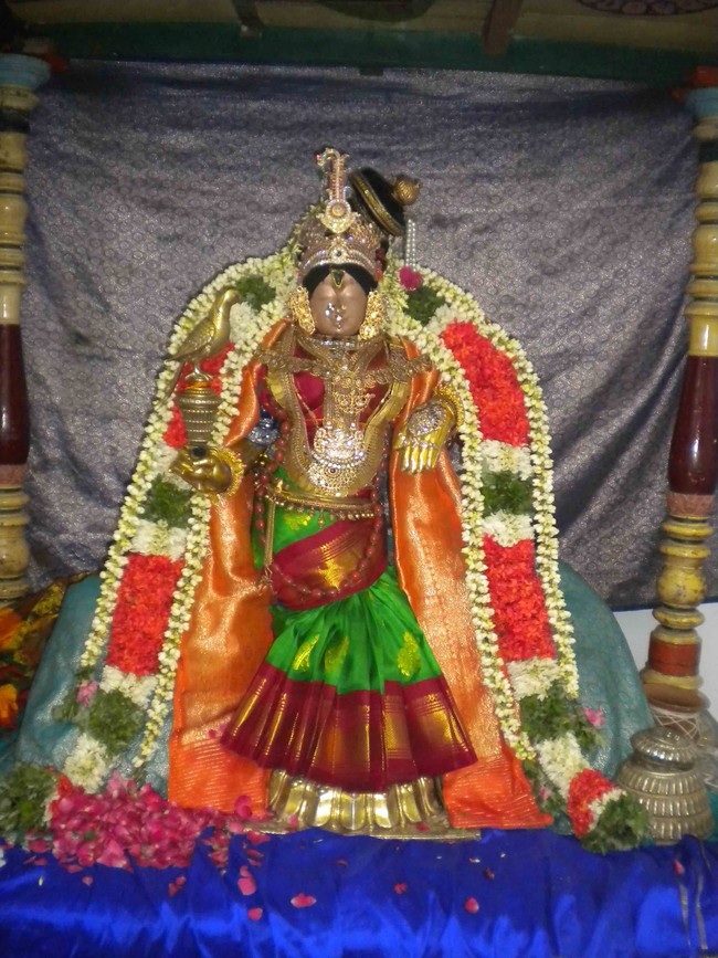 Mannargudi Brahmotsavam Andal Thirukolam 2014 -13