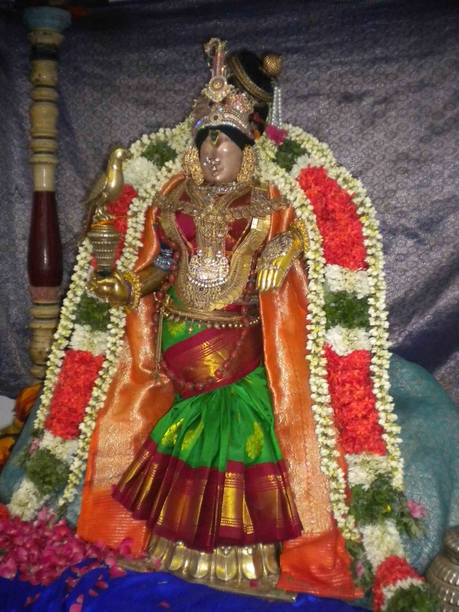 Mannargudi Brahmotsavam Andal Thirukolam 2014 -14