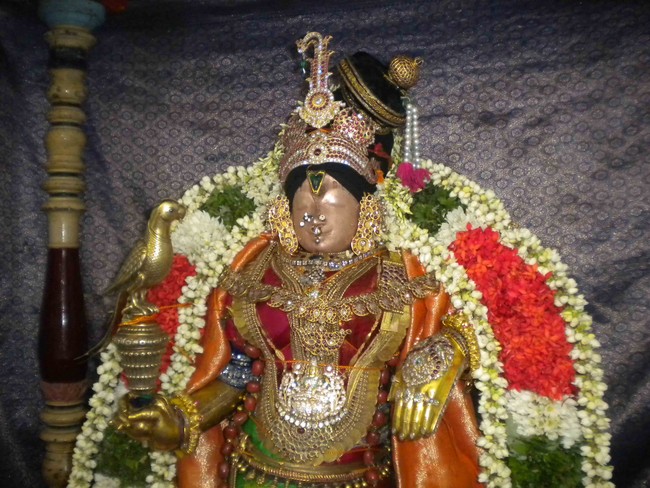 Mannargudi Brahmotsavam Andal Thirukolam 2014 -15