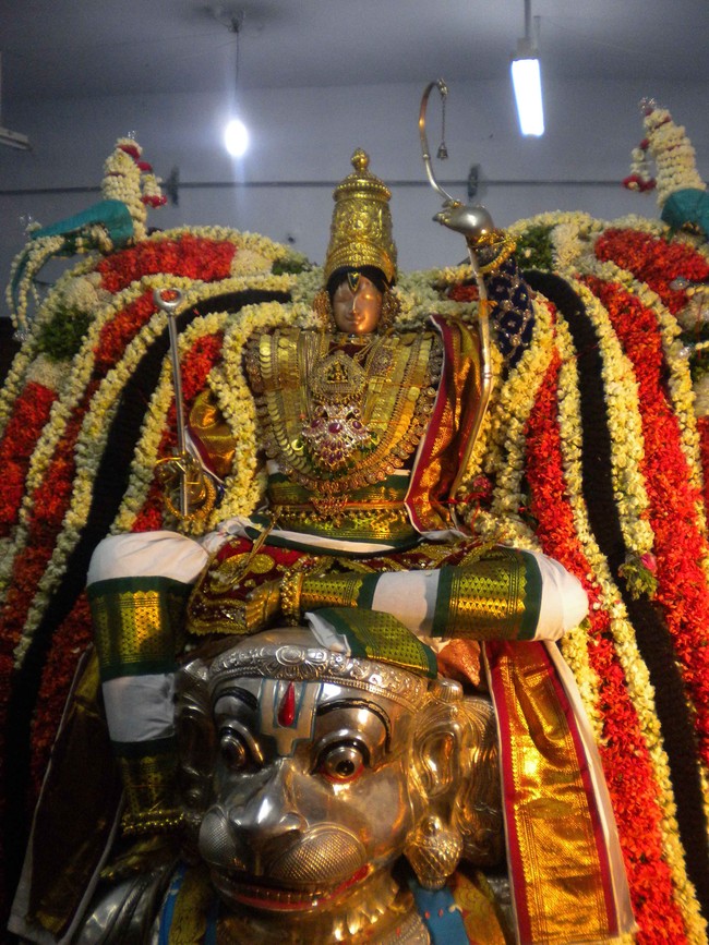 Mannargudi Brahmotsavam Hanumantha vahanam 2014 -01