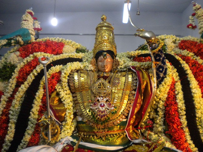 Mannargudi Brahmotsavam Hanumantha vahanam 2014 -03