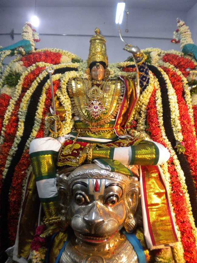 Mannargudi Brahmotsavam Hanumantha vahanam 2014 -05