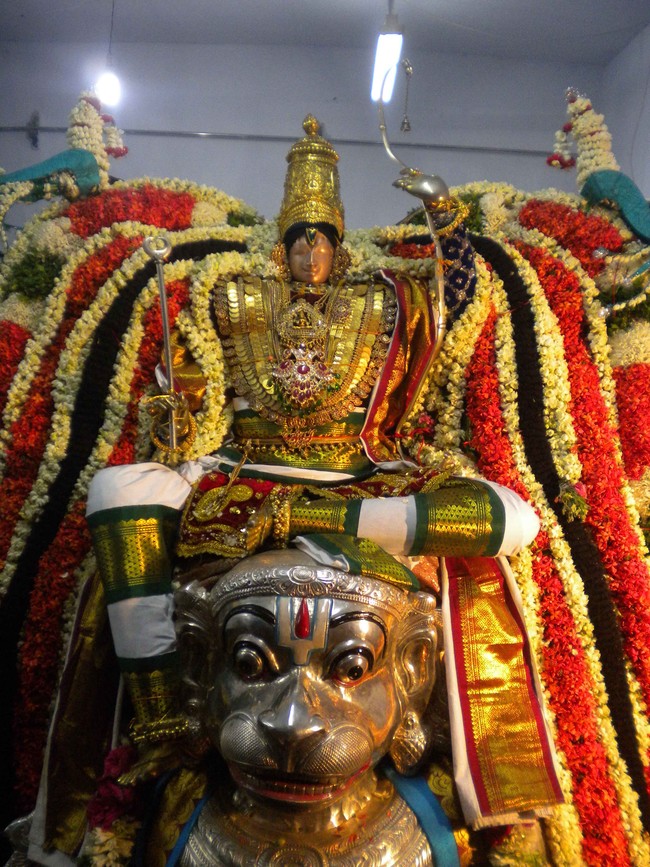Mannargudi Brahmotsavam Hanumantha vahanam 2014 -06