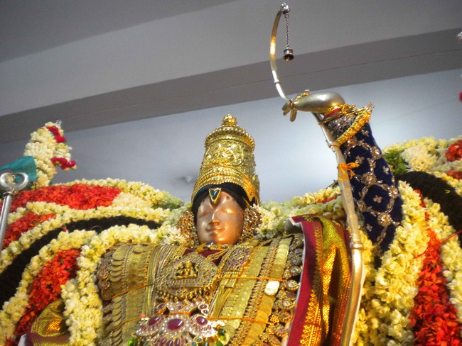 Mannargudi Brahmotsavam Hanumantha vahanam 2014 -10