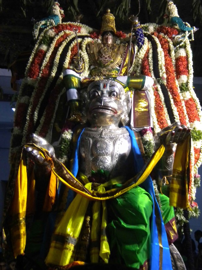 Mannargudi Brahmotsavam Hanumantha vahanam 2014 -12