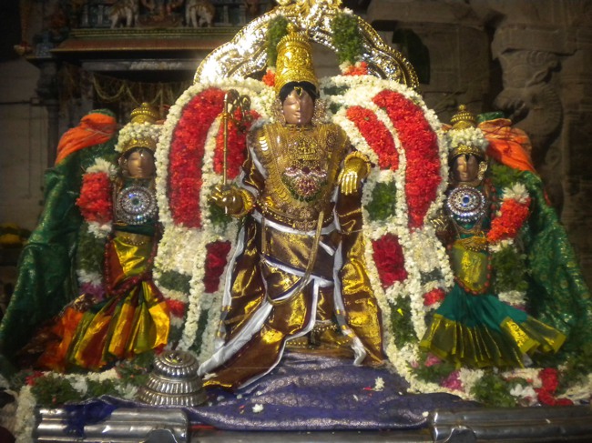 Mannargudi Brahmotsavam THiruther and  Theerthavari 2014--00