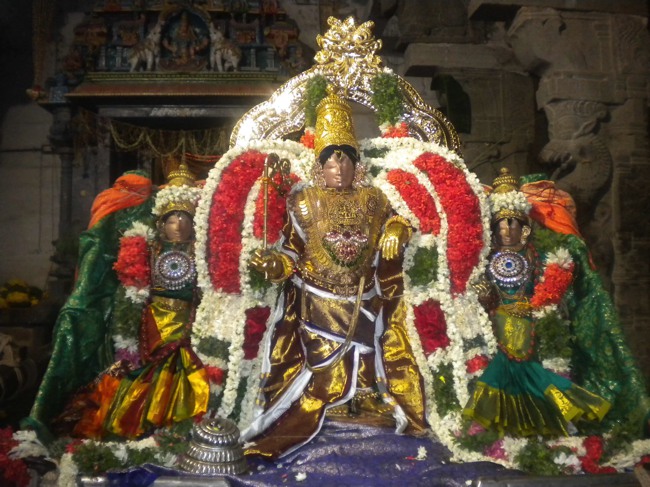 Mannargudi Brahmotsavam THiruther and  Theerthavari 2014--01