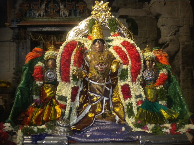 Mannargudi Brahmotsavam THiruther and  Theerthavari 2014--02