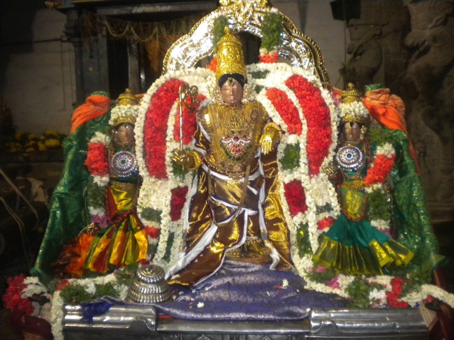 Mannargudi Brahmotsavam THiruther and  Theerthavari 2014--03
