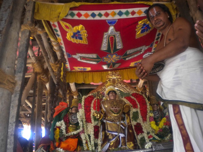 Mannargudi Brahmotsavam THiruther and  Theerthavari 2014--05