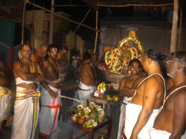 Mannargudi Brahmotsavam THiruther and  Theerthavari 2014--18