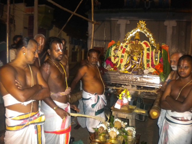 Mannargudi Brahmotsavam THiruther and  Theerthavari 2014--19