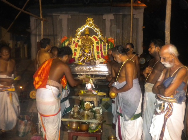 Mannargudi Brahmotsavam THiruther and  Theerthavari 2014--20